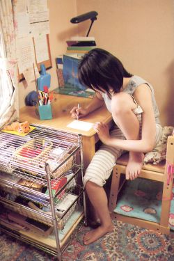 《兰闺喜事》电视剧
